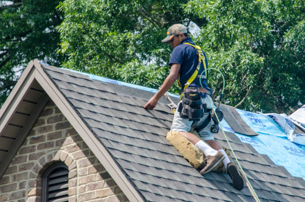 Roof Gutter Cleaning in Palos Heights, IL